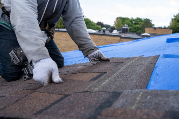 Best Metal Roofing Contractor  in Altamont, TN