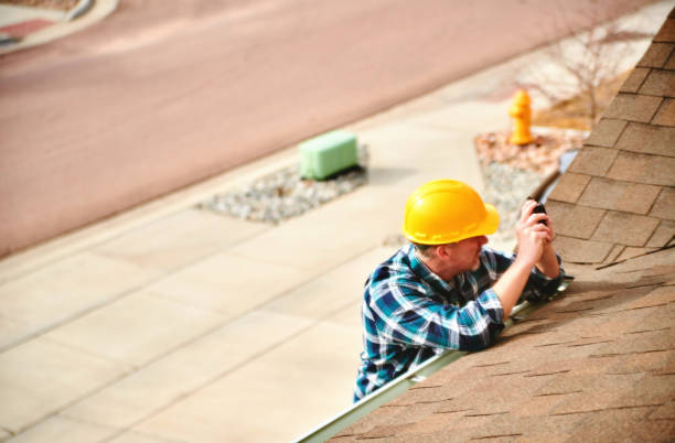 Best Roof Gutter Cleaning  in Altamont, TN